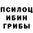 Галлюциногенные грибы прущие грибы kaway Den