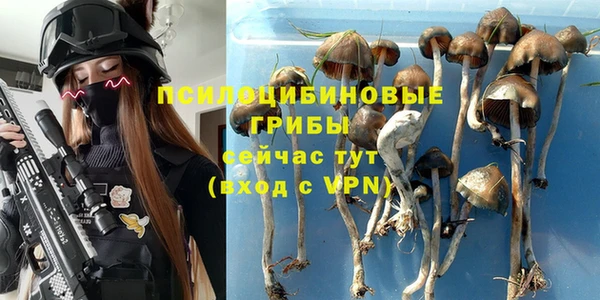 героин Вяземский
